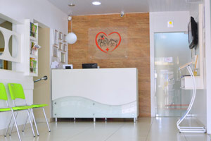 Clínica Médica Veterinária em Rio Preto