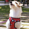 Acessórios e Coleiras para pets