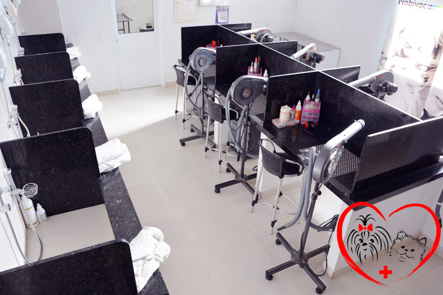 Petshop com Banho e tosa em Rio Preto