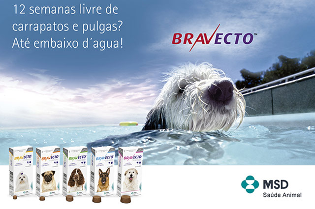 Promoção deste mês