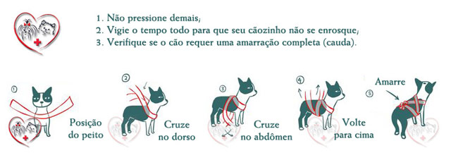 como tirar medo do cachorro amarrano um pano