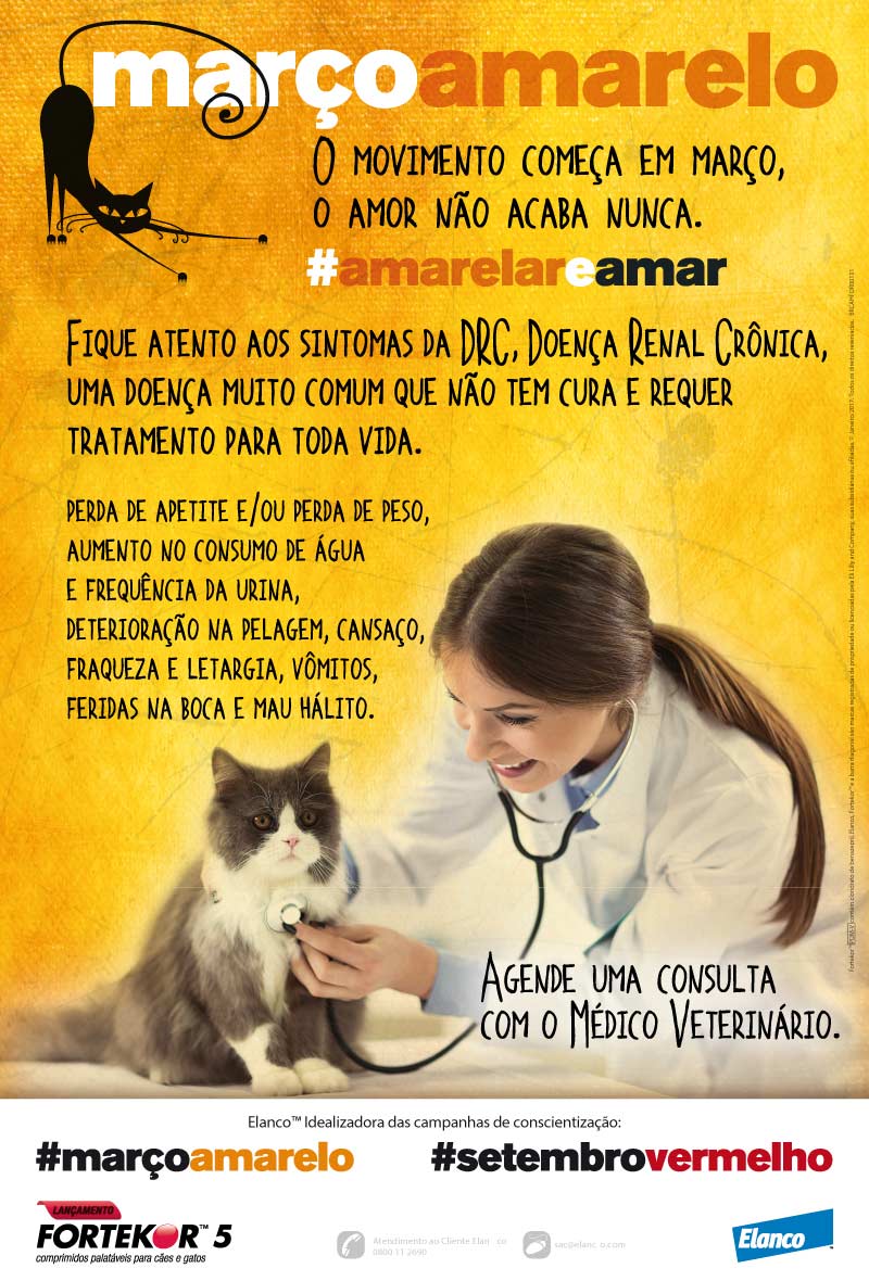 Sintomas da DRC Doença Renal Crônica em Cães e Gatos