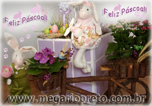 Portal Mega Rio Preto