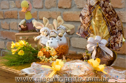 Portal Mega Rio Preto
